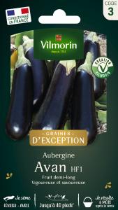 Aubergine Avan HF1 - Graines d'Exception